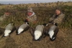 CF Goose Hunt